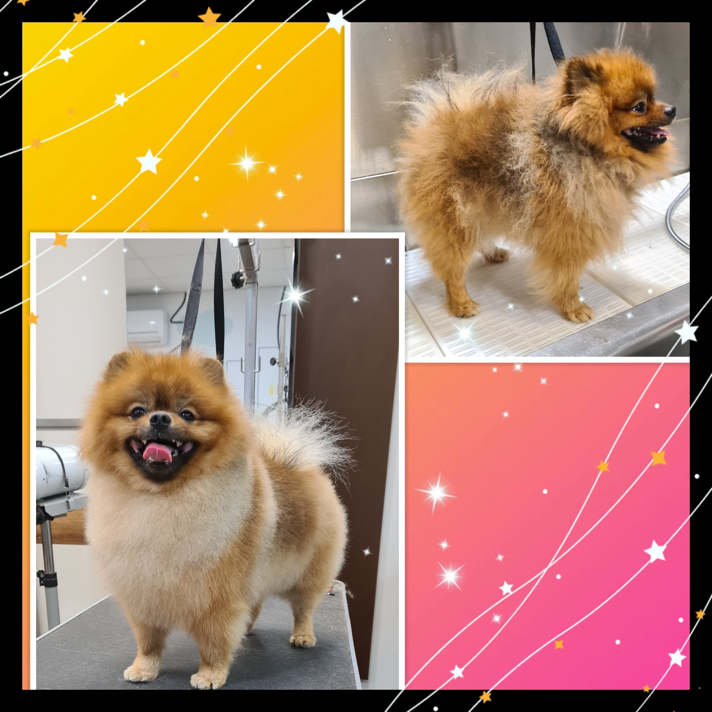 Grooming klient