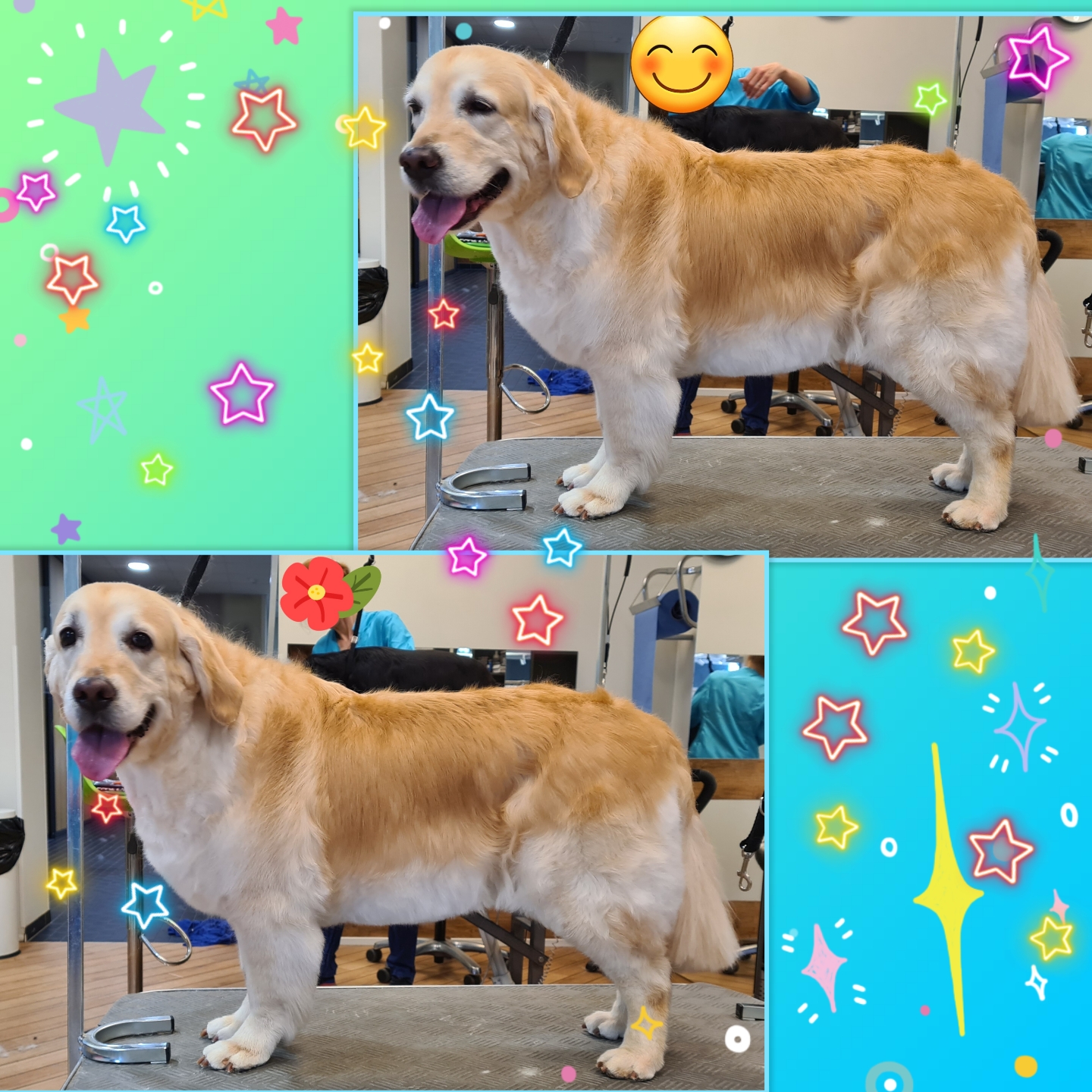 Grooming klient