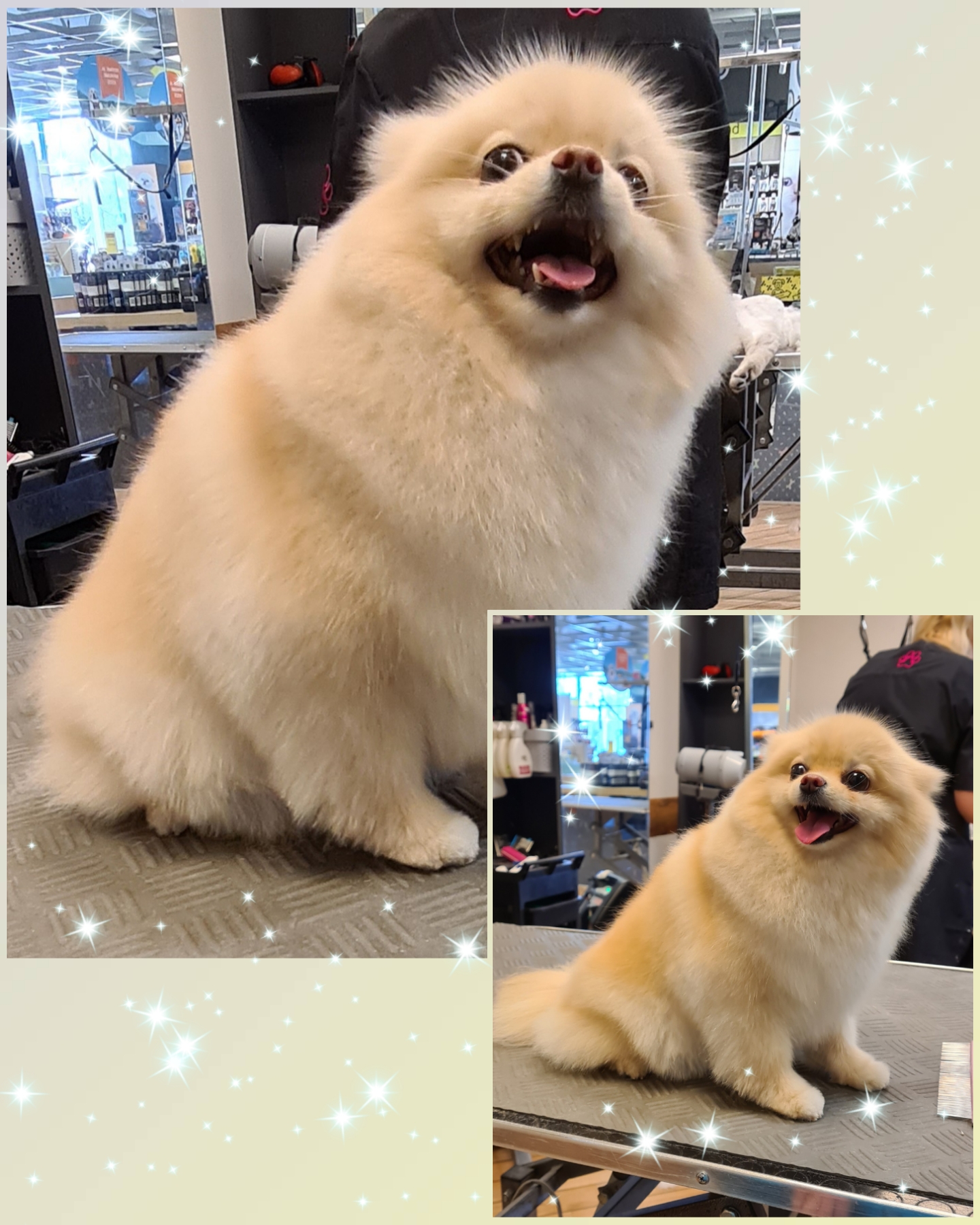 Grooming klient