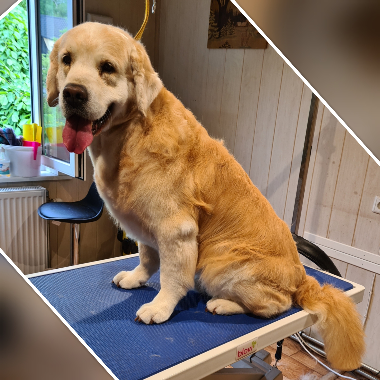 Grooming klient
