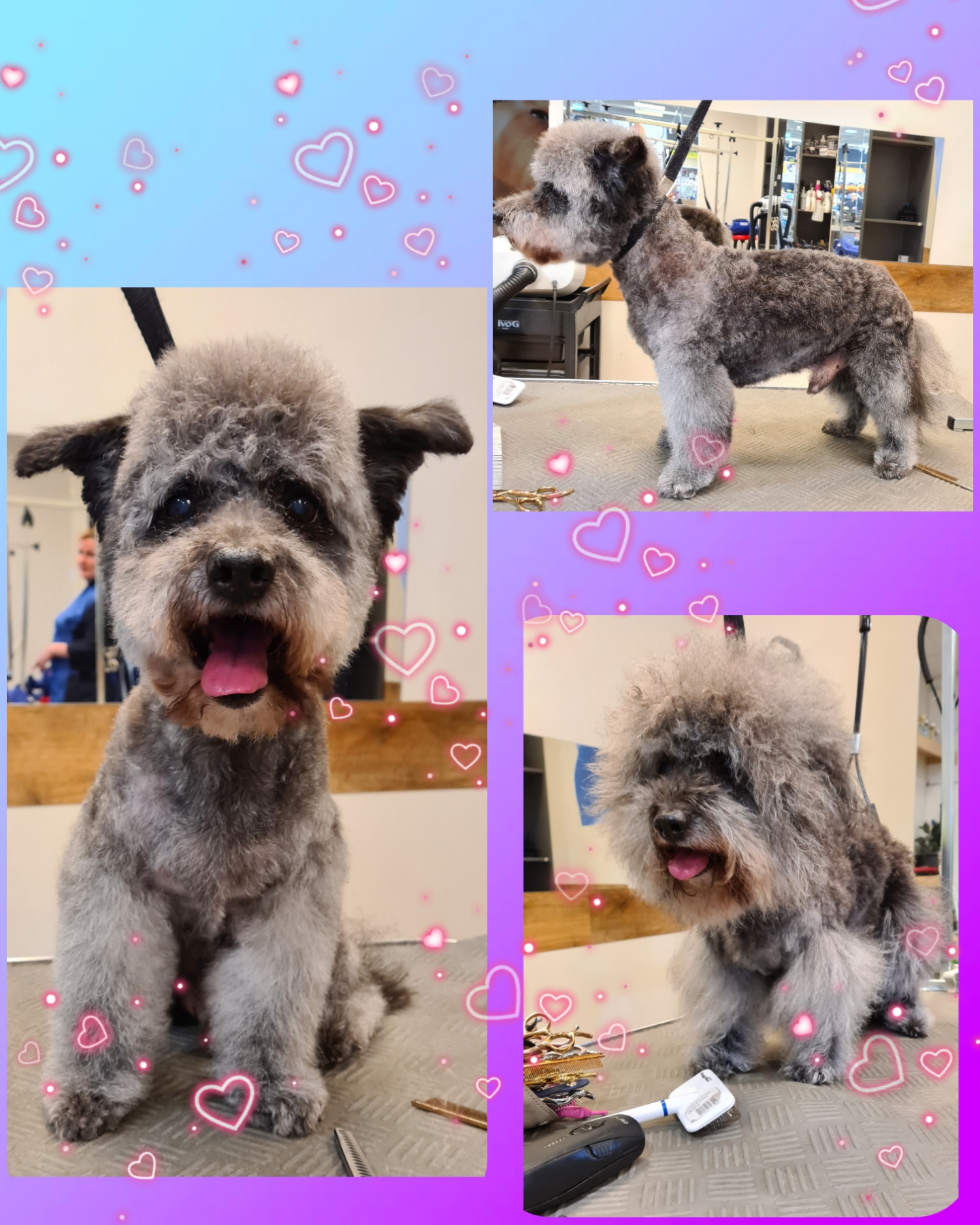 Grooming klient