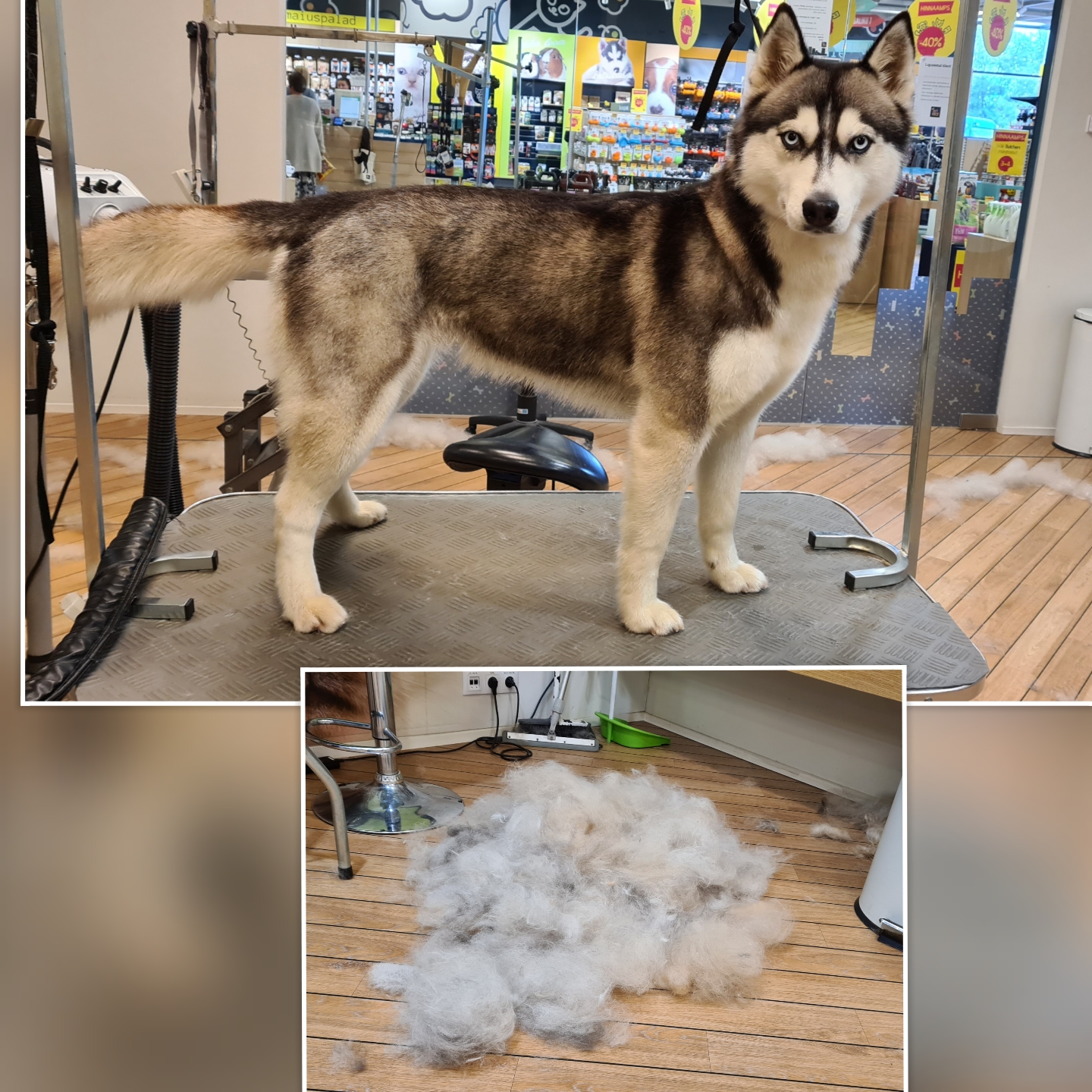 Grooming klient