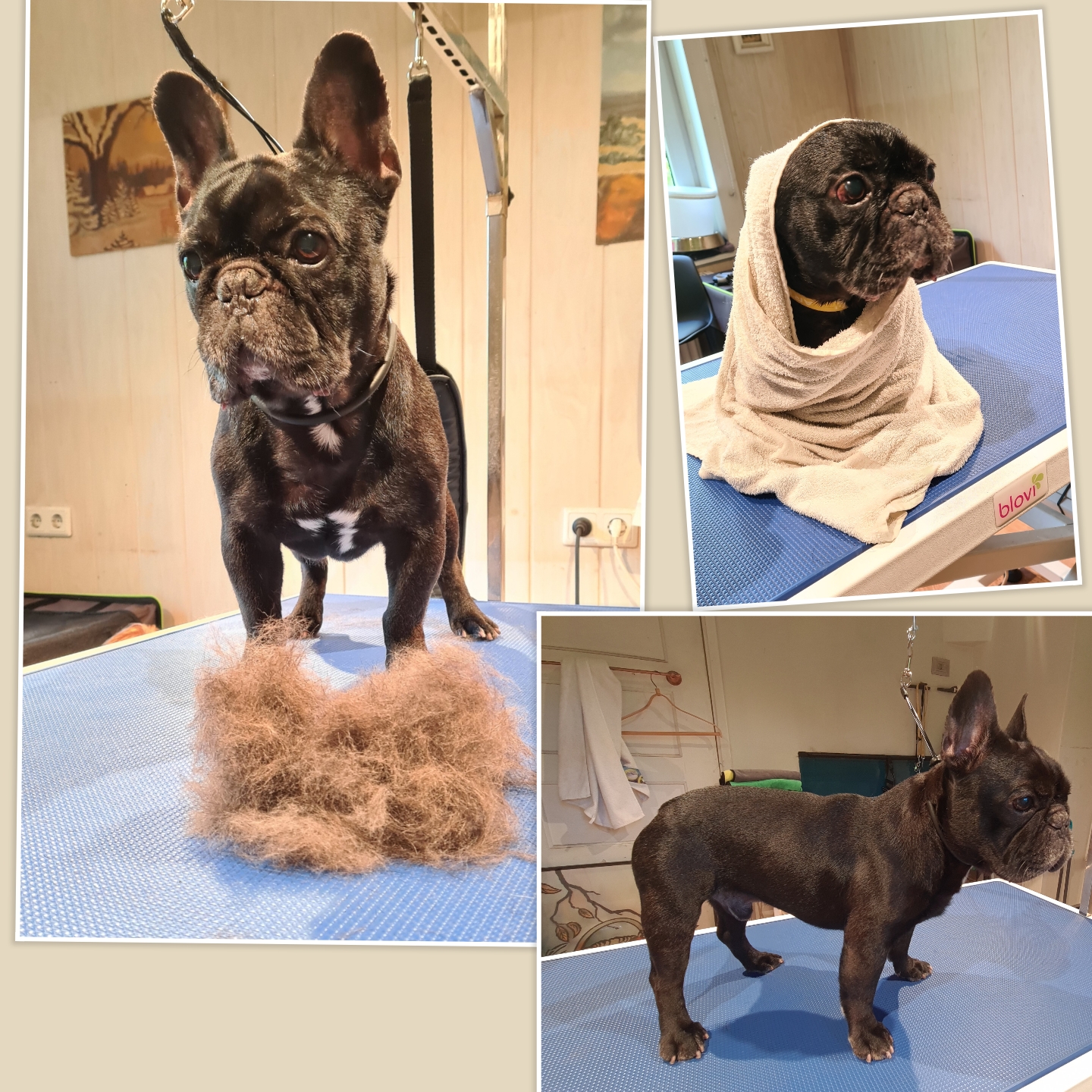 Grooming klient