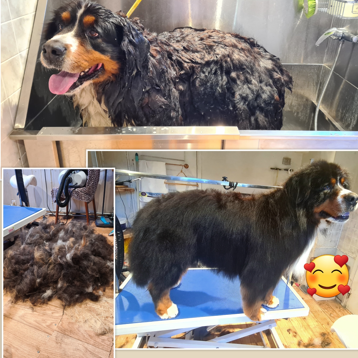 Grooming klient