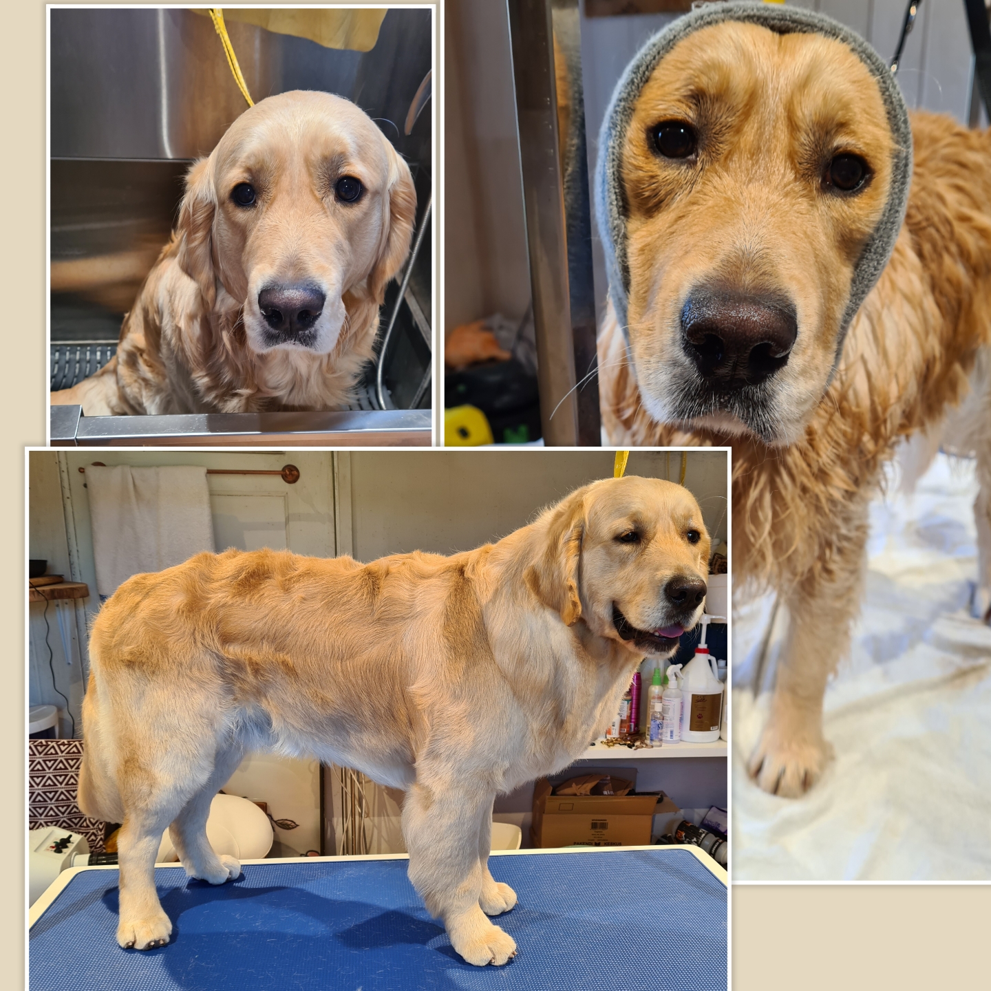 Grooming klient